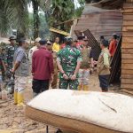 17359024441000031965