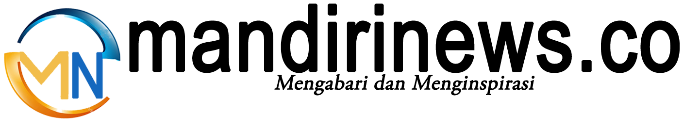 Logo Manidiri News
